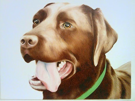 Chocolate Labrador Painting Portrait