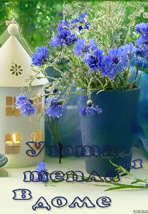 Здравствуй новый добрый день. Доброе утро хорошего дня с васильками. Пожелания хорошего дня с цветами полевыми. Открытки с добрым утром с цветами. Доброе летнее утро васильки.