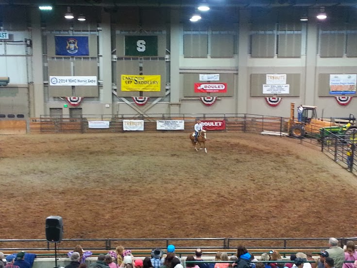 Adventures with Shyloh msu stallion expo 2014