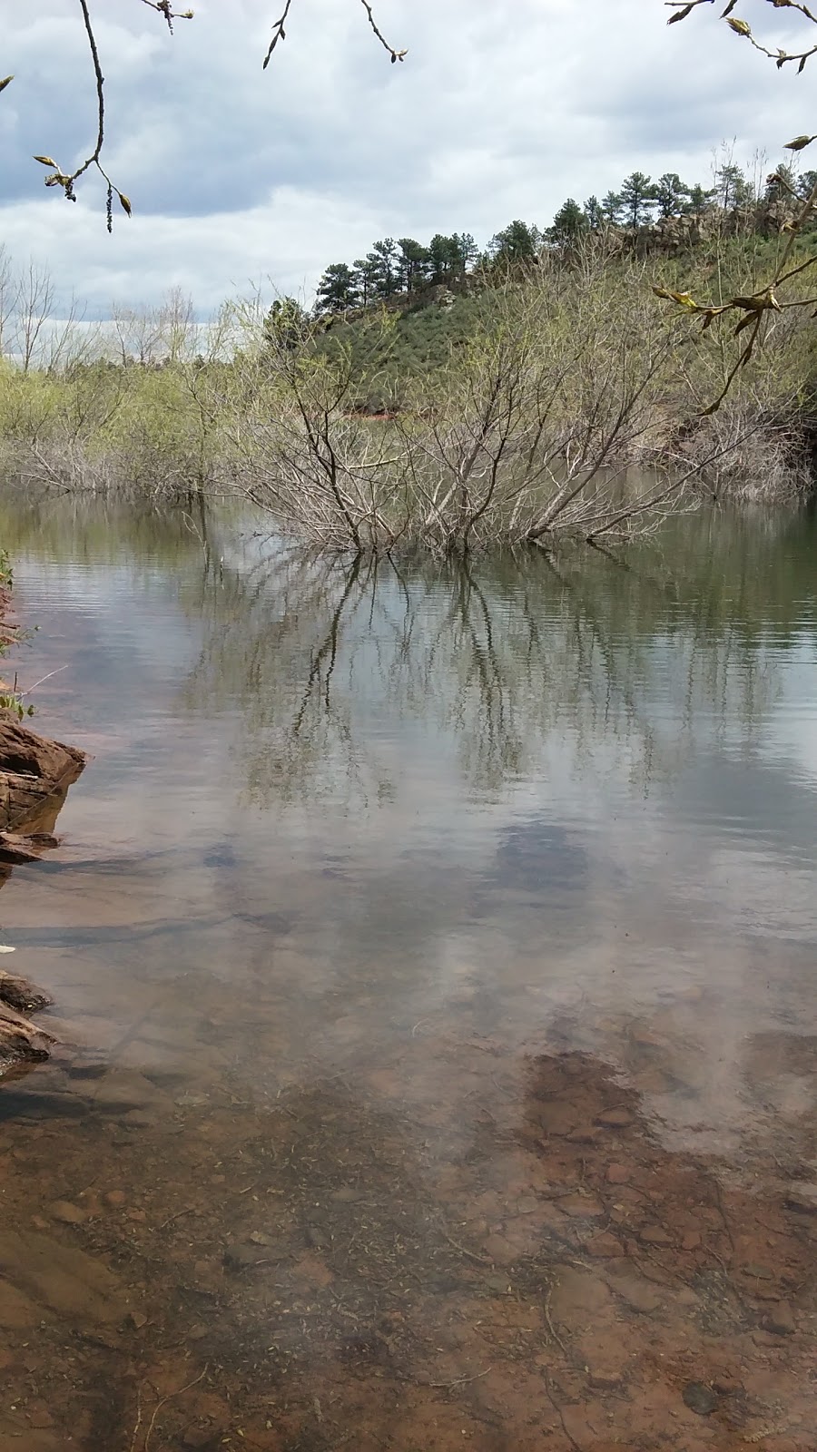 mattandkelly Orchard Cove Lory State Park