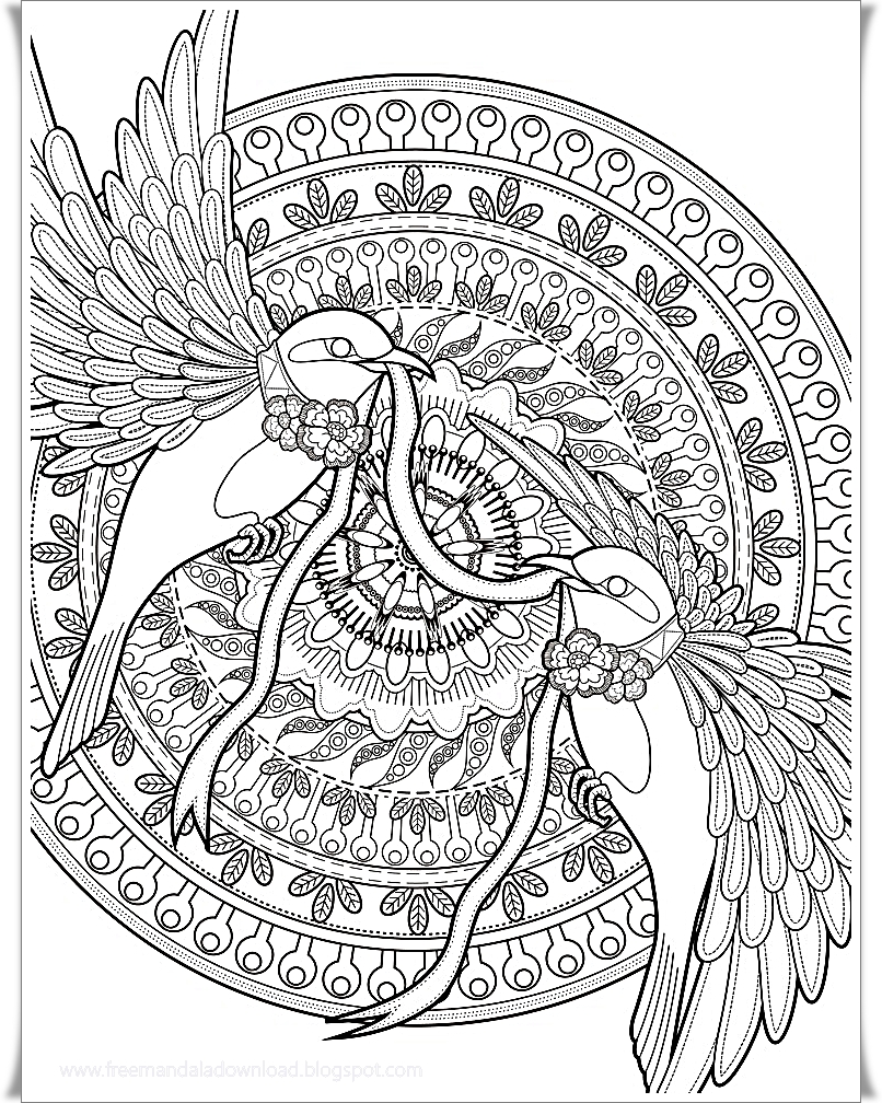 Schöne Malvorlagen Ausmalbilder Für Erwachsene - Malvorlagen