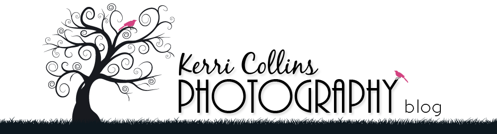 Kerri Collins Photography