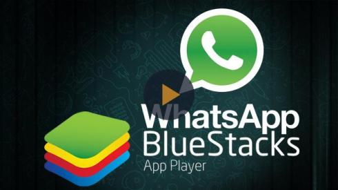 texting using whatsapp on bluestacks texting using whatsapp on bluestacks