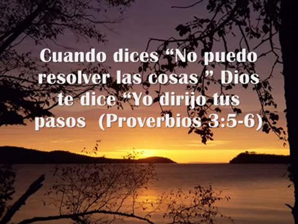 compartiendo mi devocional diario ¿TU VIDA