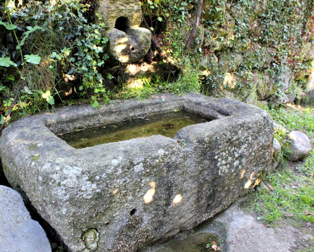 fervenza-casa-rura-fuente-womantosantiago