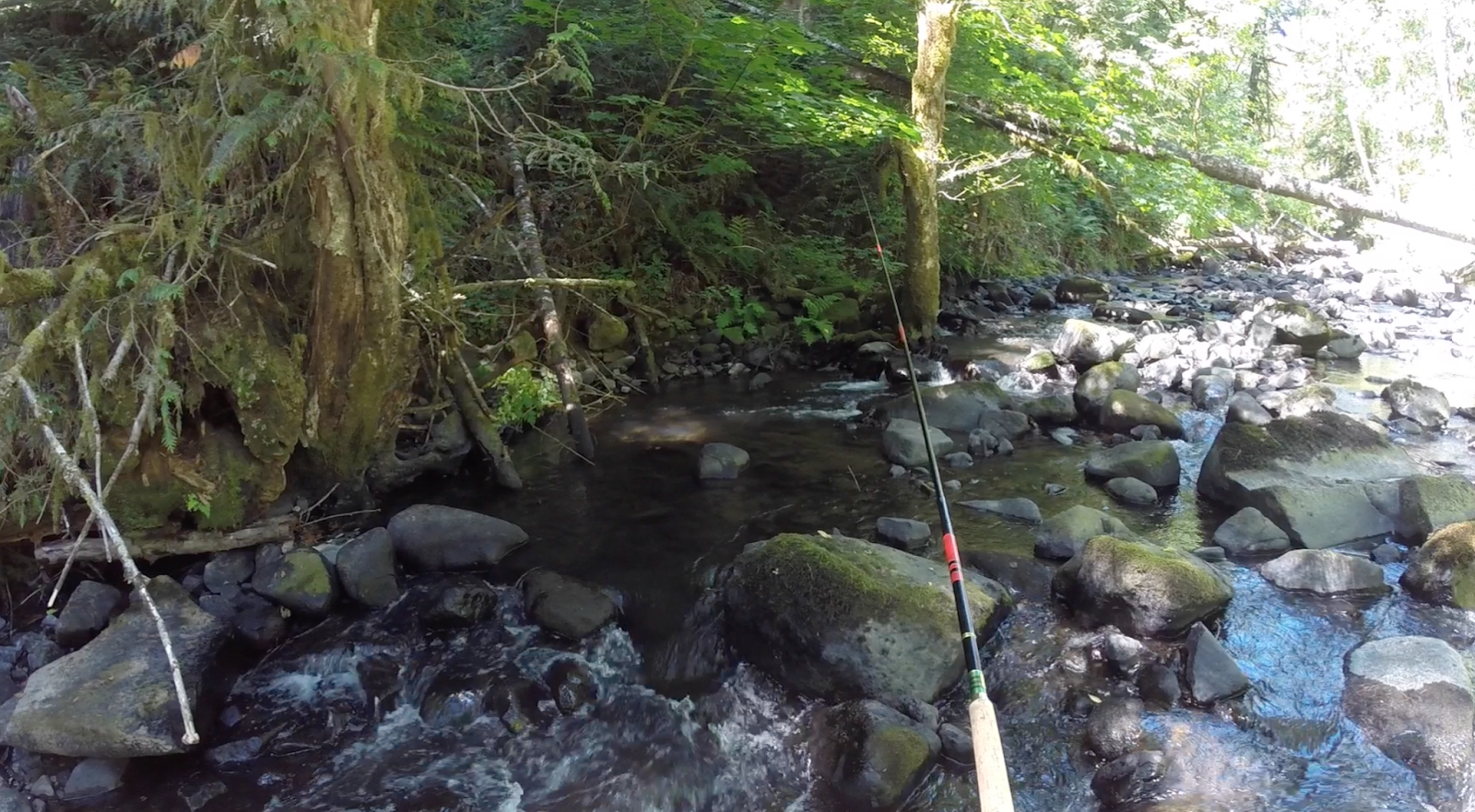 Teton Tenkara Baker Creek, OR July 28, 2014