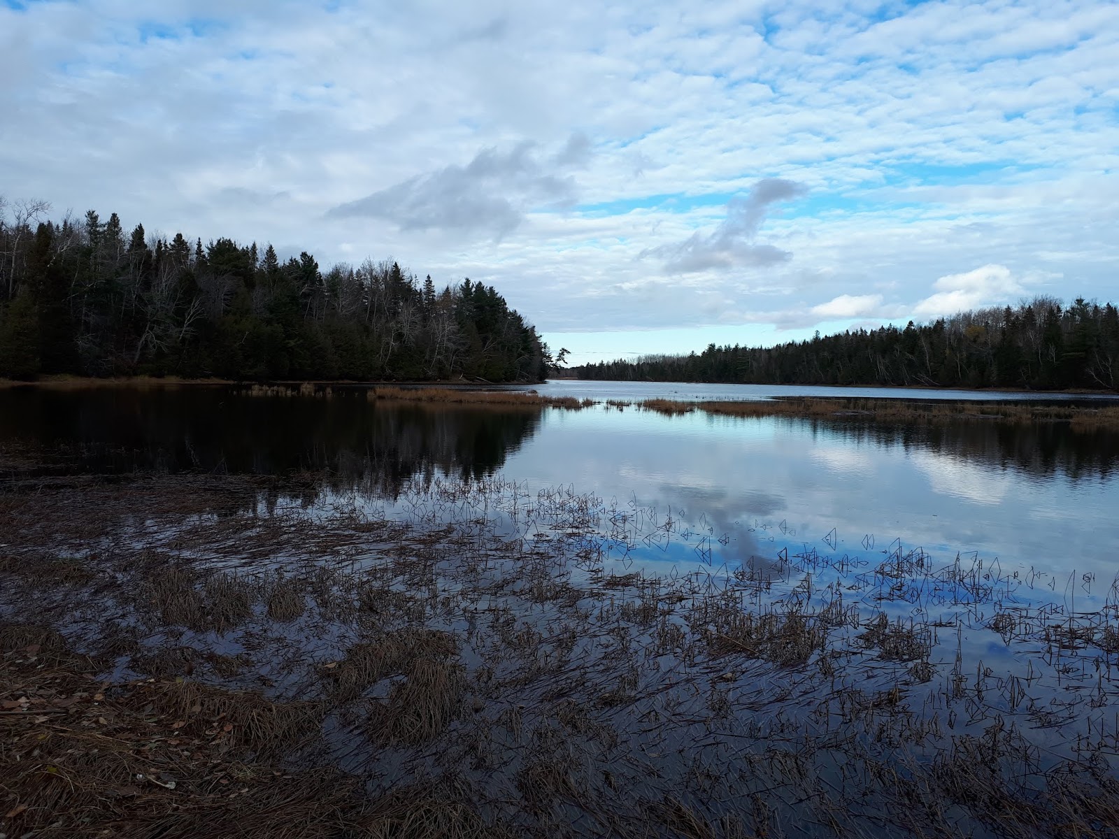 View from Bay du Vin River