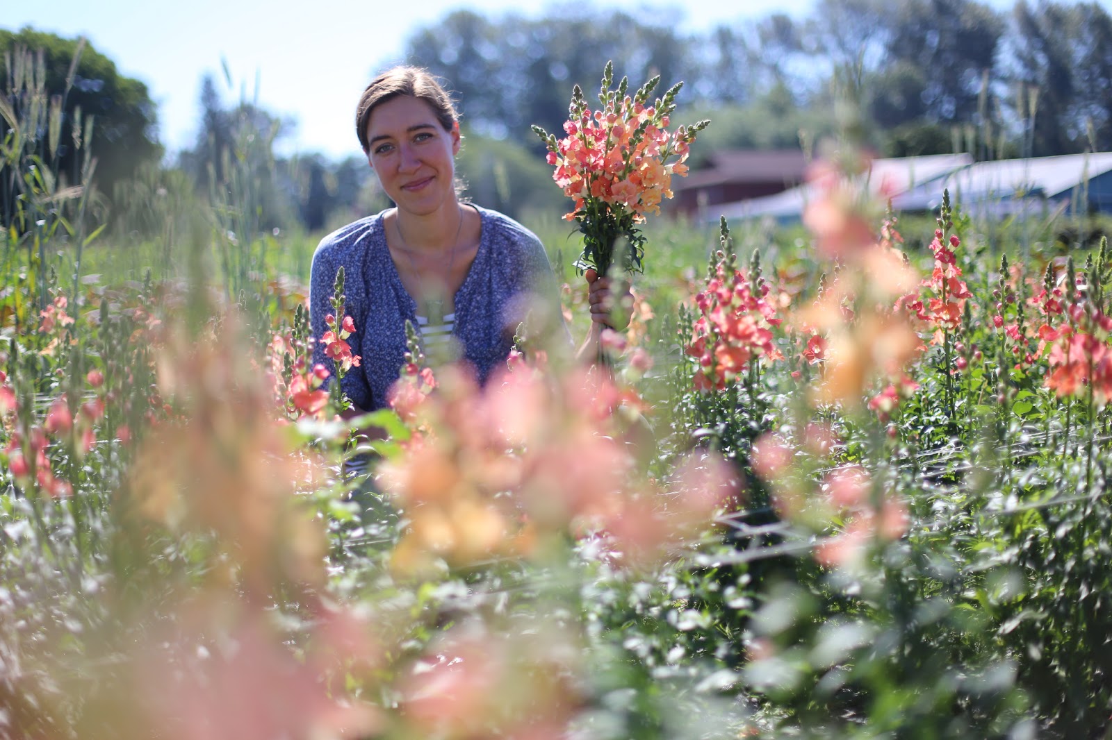 paradis express Floret Flower Farm