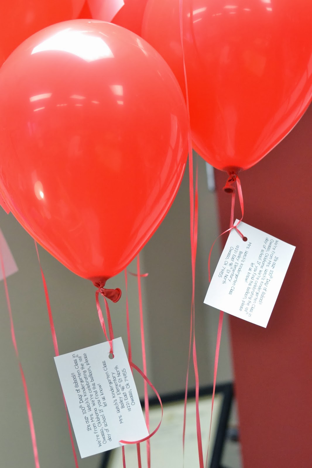 kindersisters 100 Balloons & Reading Shirts