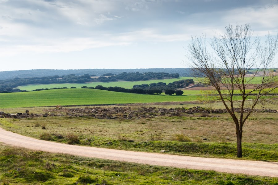 Parque arqueológico de Segóbriga. Cuenca