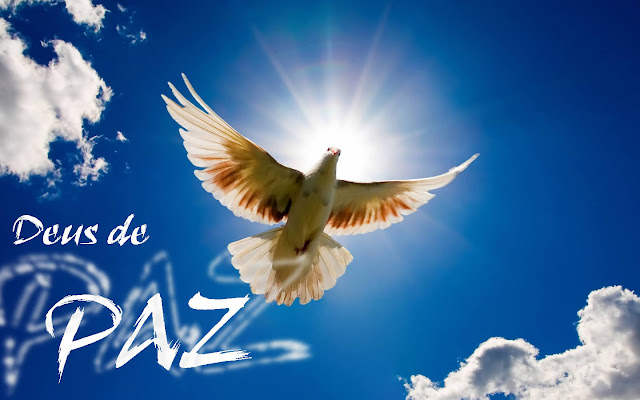 Resultado de imagem para joão 14:27