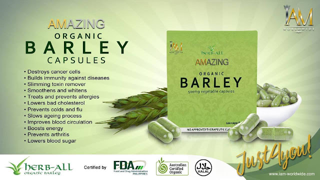 AMAZING ORGANIC PURE BARLEY POWDERED DRINK ~ Healthy and Wealthy Pinoy