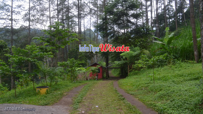 85 Gambar Air Terjun Pacet Terbaik 85 Gambar Air Terjun Pacet Terbaik