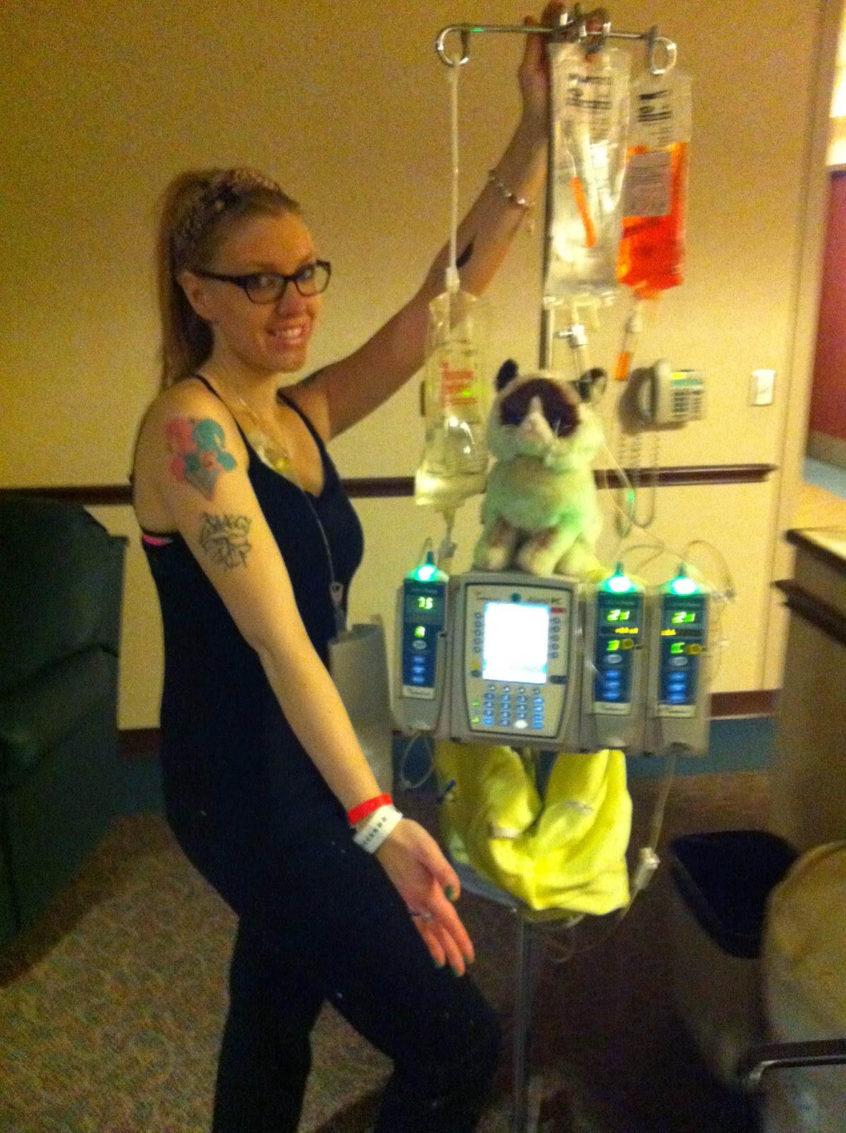 Grumpy Cat's Cancer: Chemotherapy: Day One