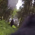Cão de atleta equipado com câmera Go Pro consegue captar imagem do misterioso Pé Grande