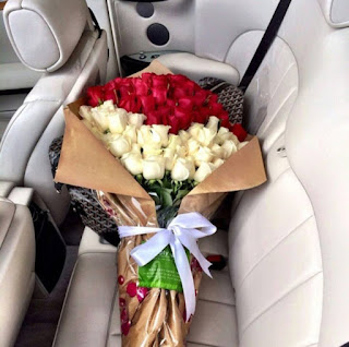 اجمل صور ورد ملونة 2019 صور ورد احمر اجمل صور ورد ملونة 2019 صور ورد احمر