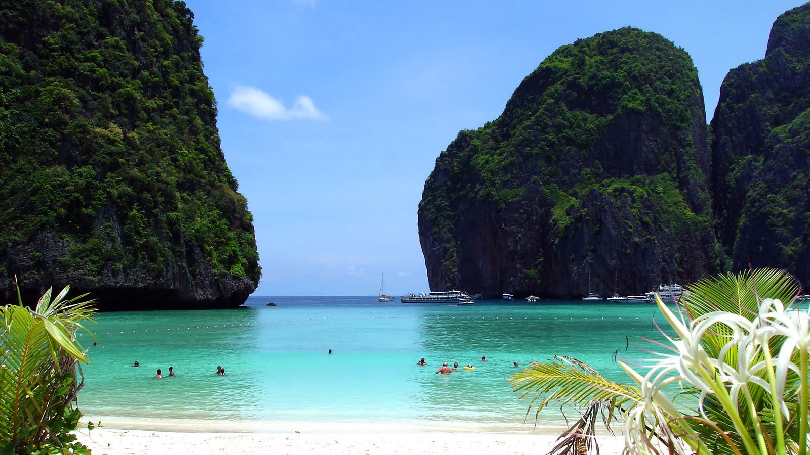 Phi Phi Maya Bay the beautiful ocean in Thailand Beautiful Traveling Places Phi Phi Maya Bay the beautiful ocean in Thailand Beautiful Traveling Places