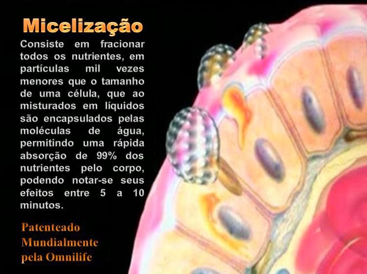Miceliza%C3%A7%C3%A3o.jpg