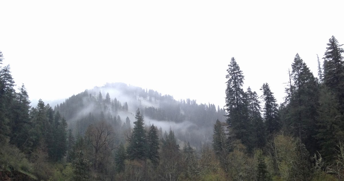 .Hike Mondays. NINE MILE RIDGE North Fork Umatilla Wilderness