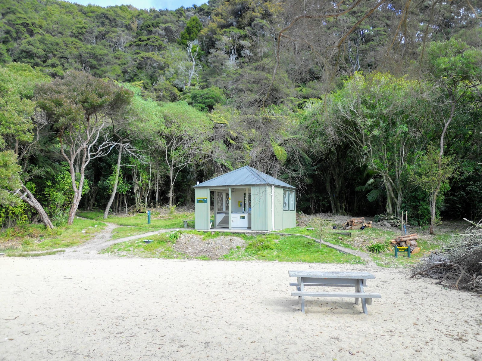 Tramping in the New Zealand backcountry NZ Bush Adventures My