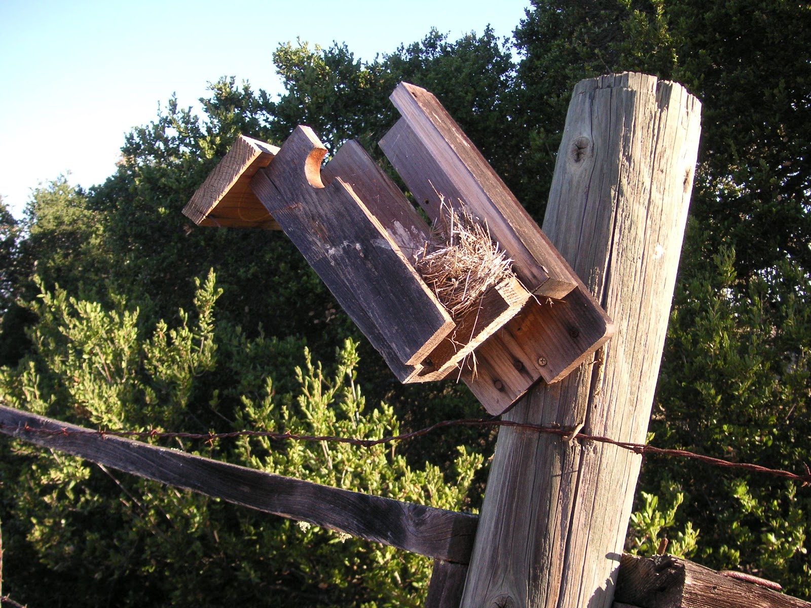 Nature ID: nest box for western bluebird ~ 09/23/12 ~ Toro Park