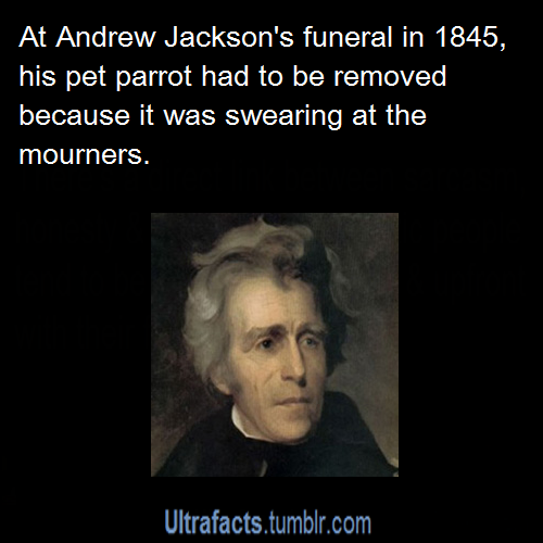 bad things andrew jackson bad things andrew jackson