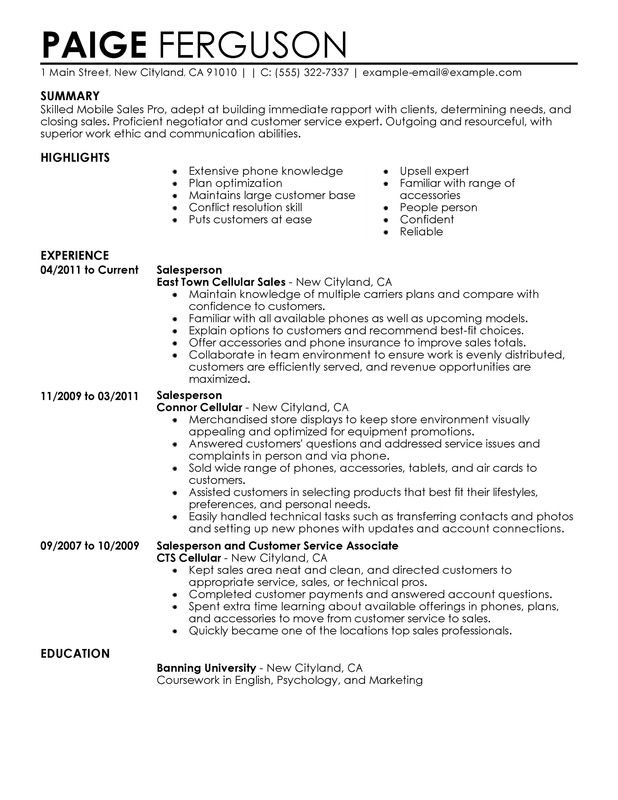 resume pro modern lubavitch shidduch resume picture