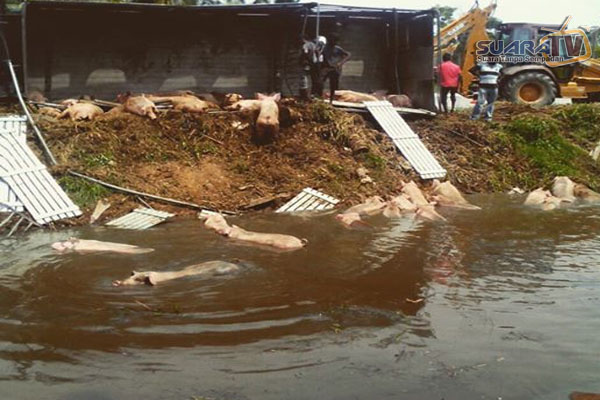 http://babab.net/out/10-kemalangan-melibatkan-kenderaan-terbalik-sehingga-melimpahkan-muatan-ke-atas-jalan-raya.html