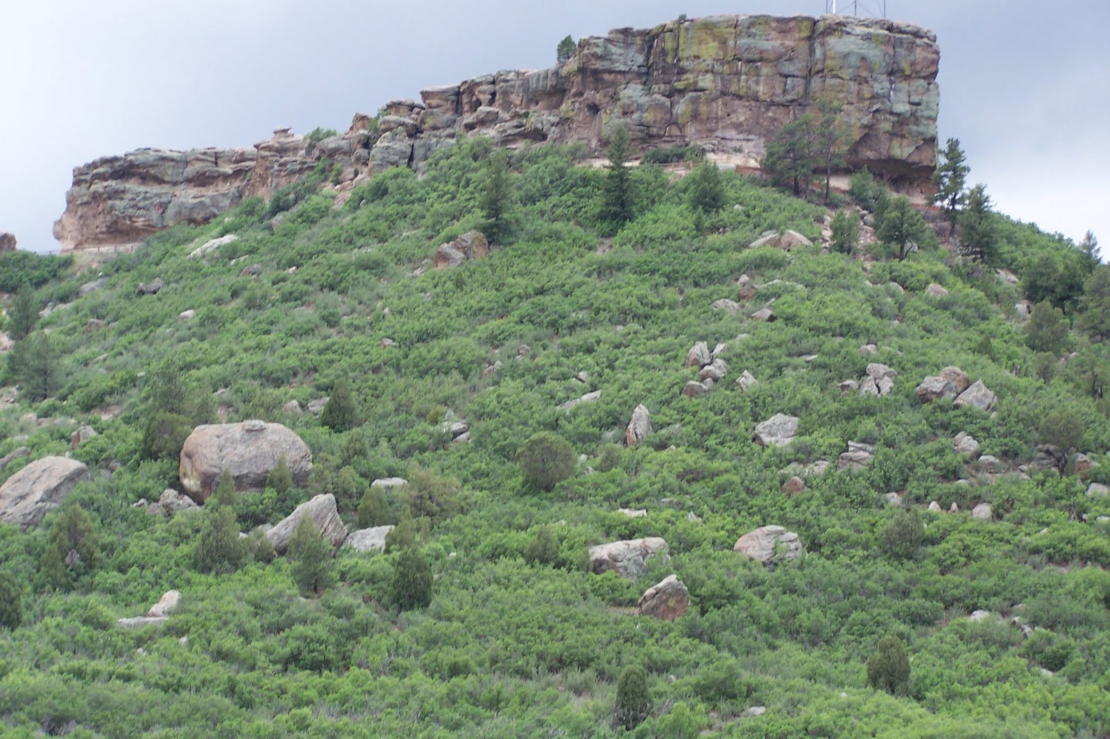 kotchey wojnar CASTLE ROCK, AZ