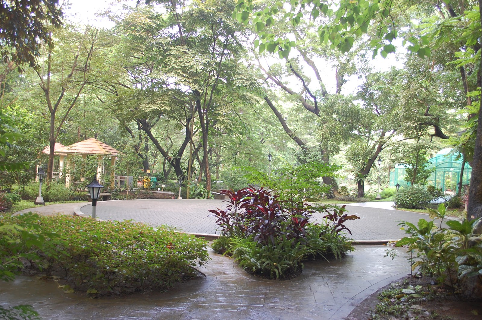 Philippines 21st Century Parks Lake Park & Botanical Garden De La