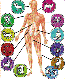 Τα ζώδια και τα ευαίσθητα σημεία τους