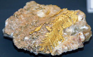 ouro dendritico em matriz de quartzo