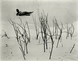 Grain de musc: Dune in the Nude: A Revival of Dior's Underground Classic