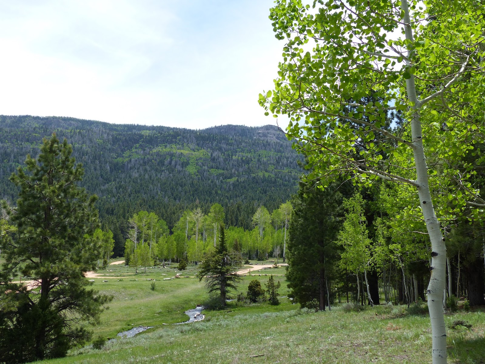 Land Cruising Adventure Camping near Yankee Meadows Campground Dixie