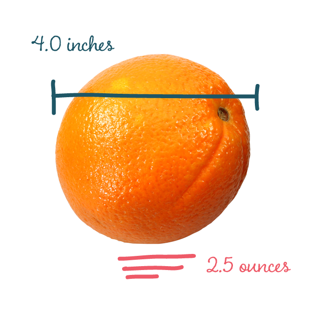 15 неделя даты. Размер апельсина. 15 Недель беременности размер плода. Фрукты по неделям. 15 Недель беременности фрукт.