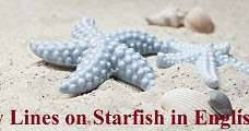 short essay on starfish