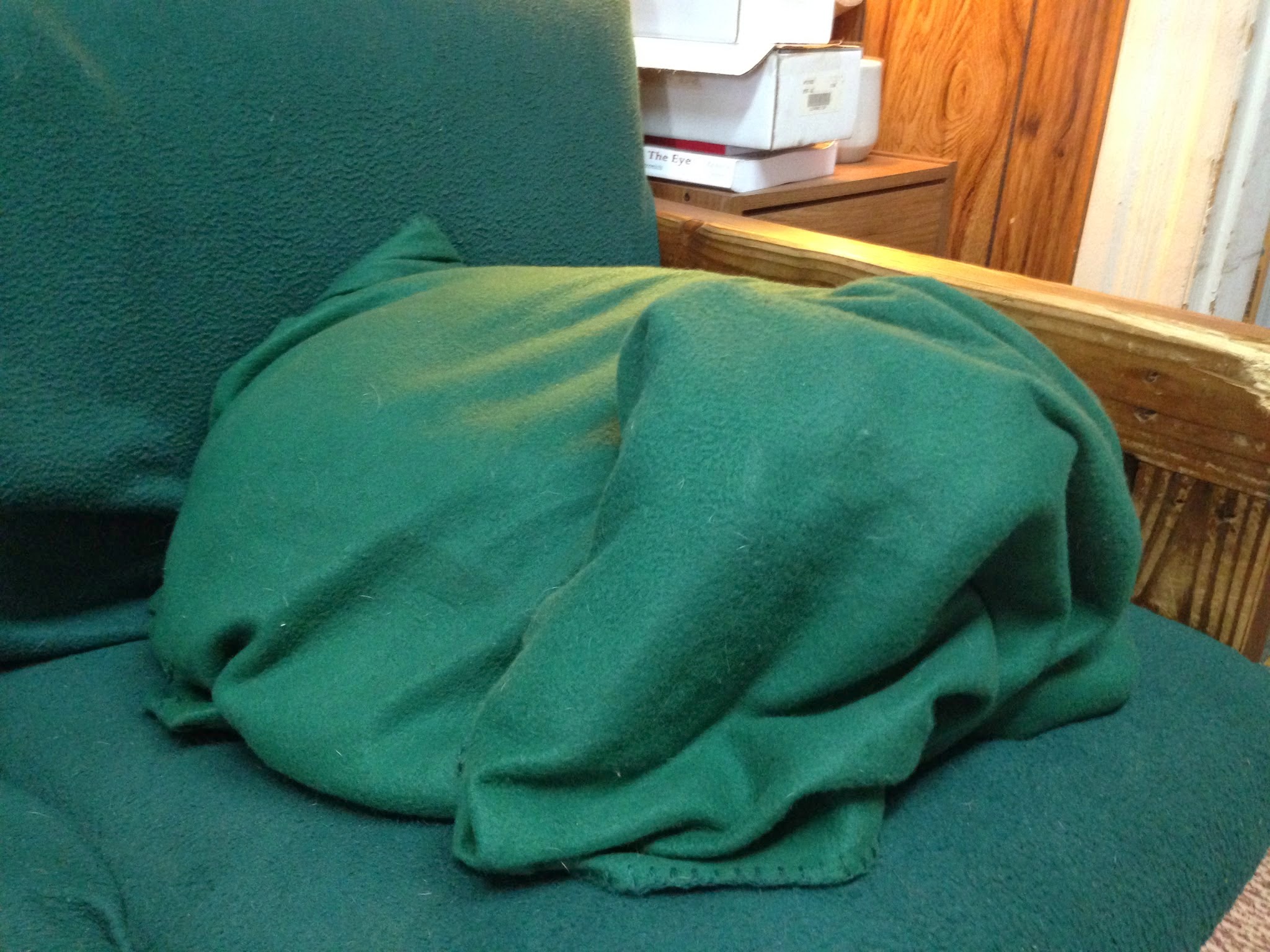 Promise's To Keep Sherpa dog in training