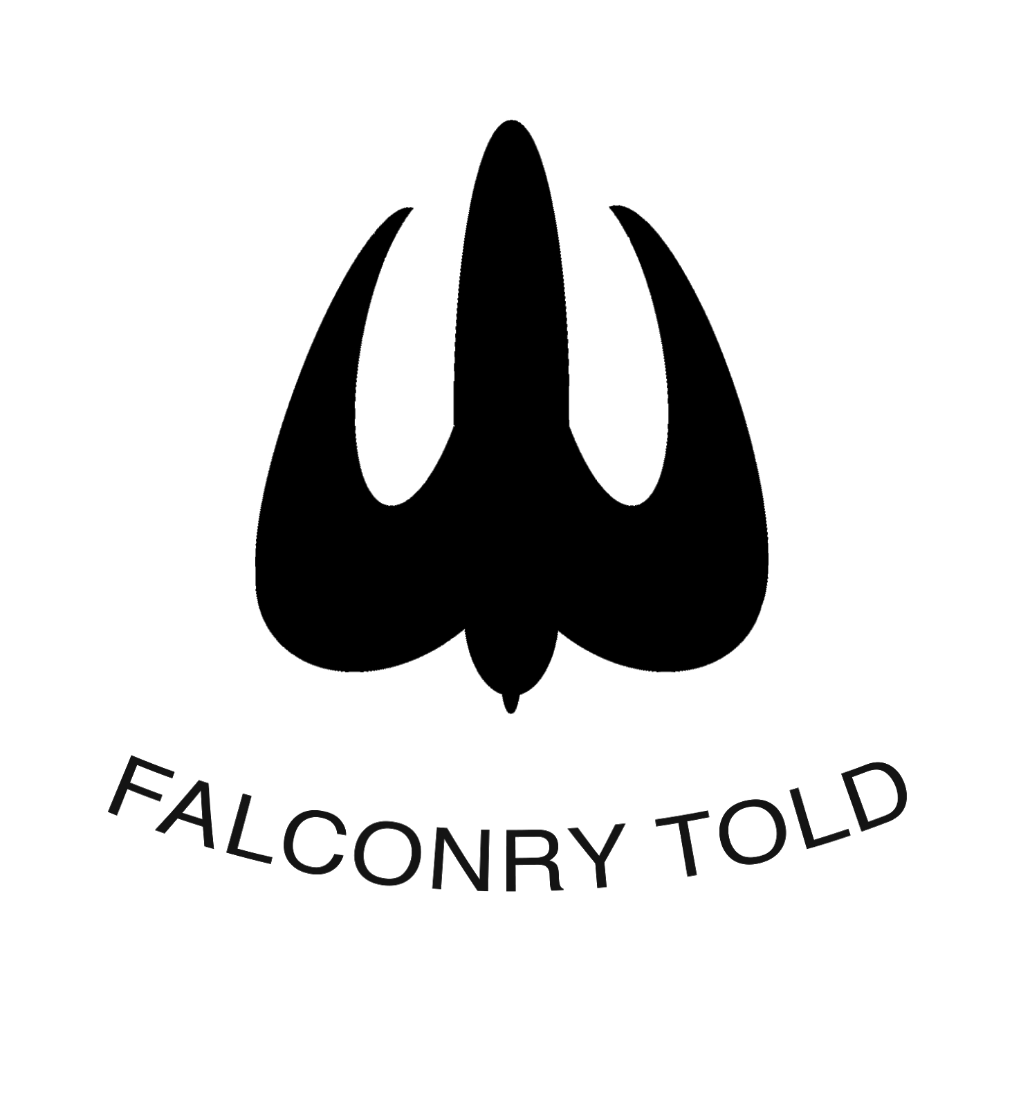 How to a Falconer How to Get Your License and a Falconer