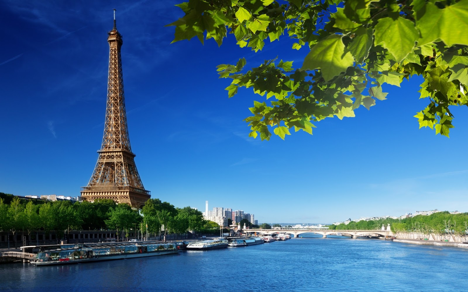 La Torre Eiffel en París, Francia - Monumentos del Mundo | Fotos e