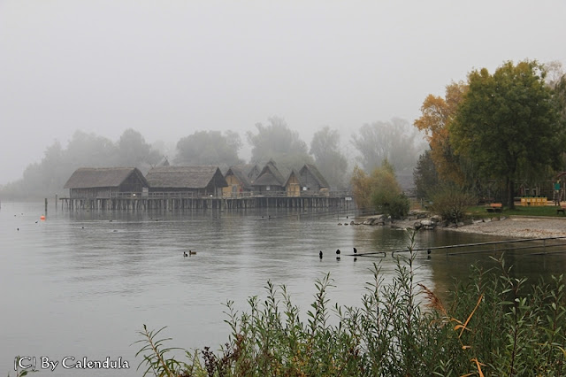 Bodensee Herbst Nebel