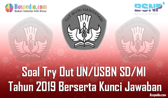 Soal Try Out UN/USBN SD/MI Tahun 2019 Berserta Kunci Jawabannya