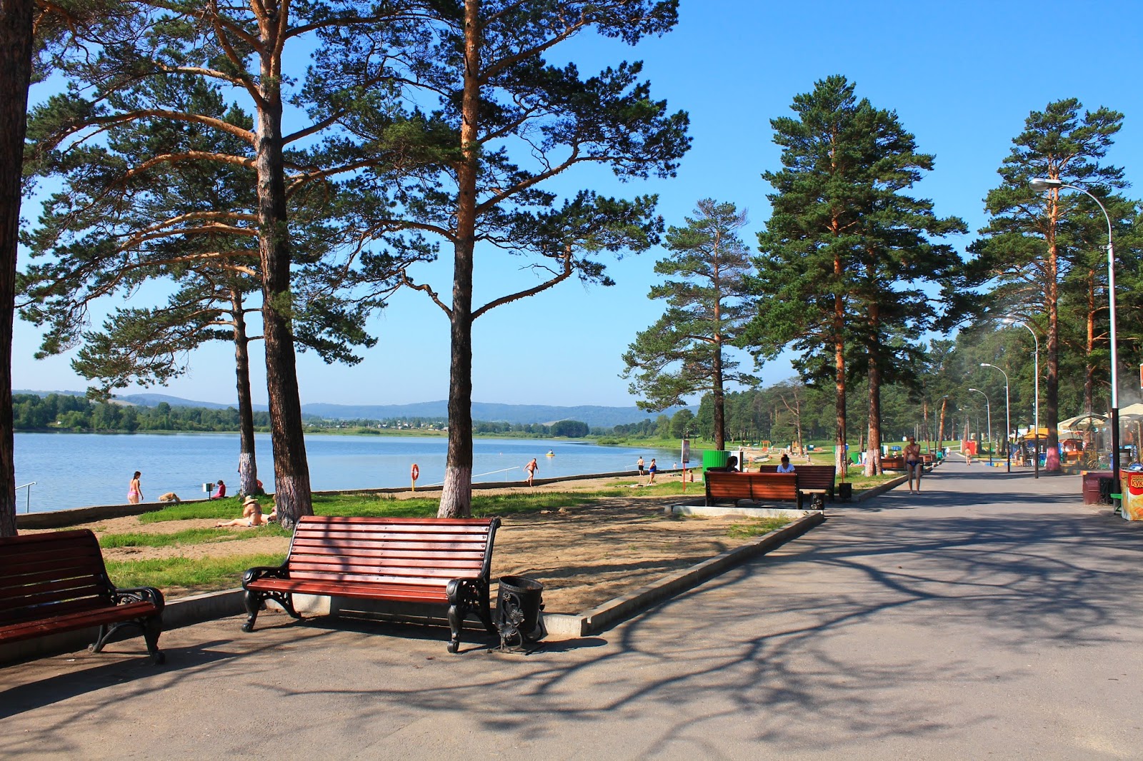 зенковский парк