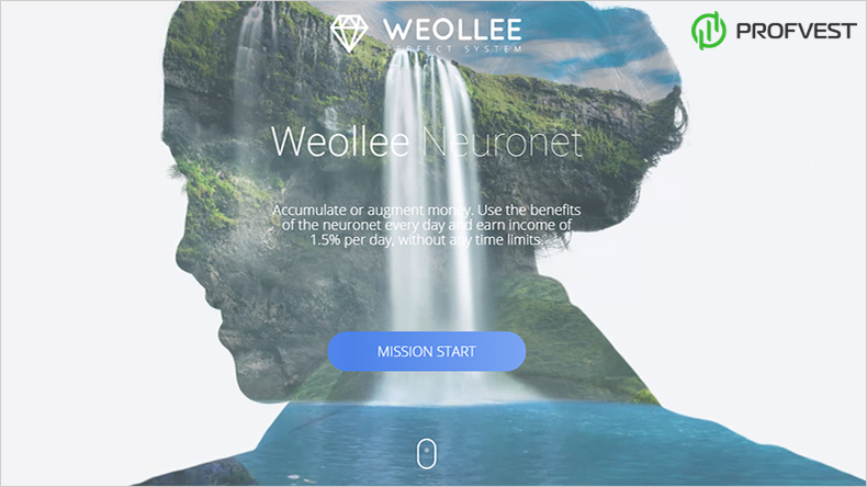 Интервью с админом проекта Weollee Интервью с админом Weollee