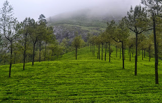 munnar munnar
