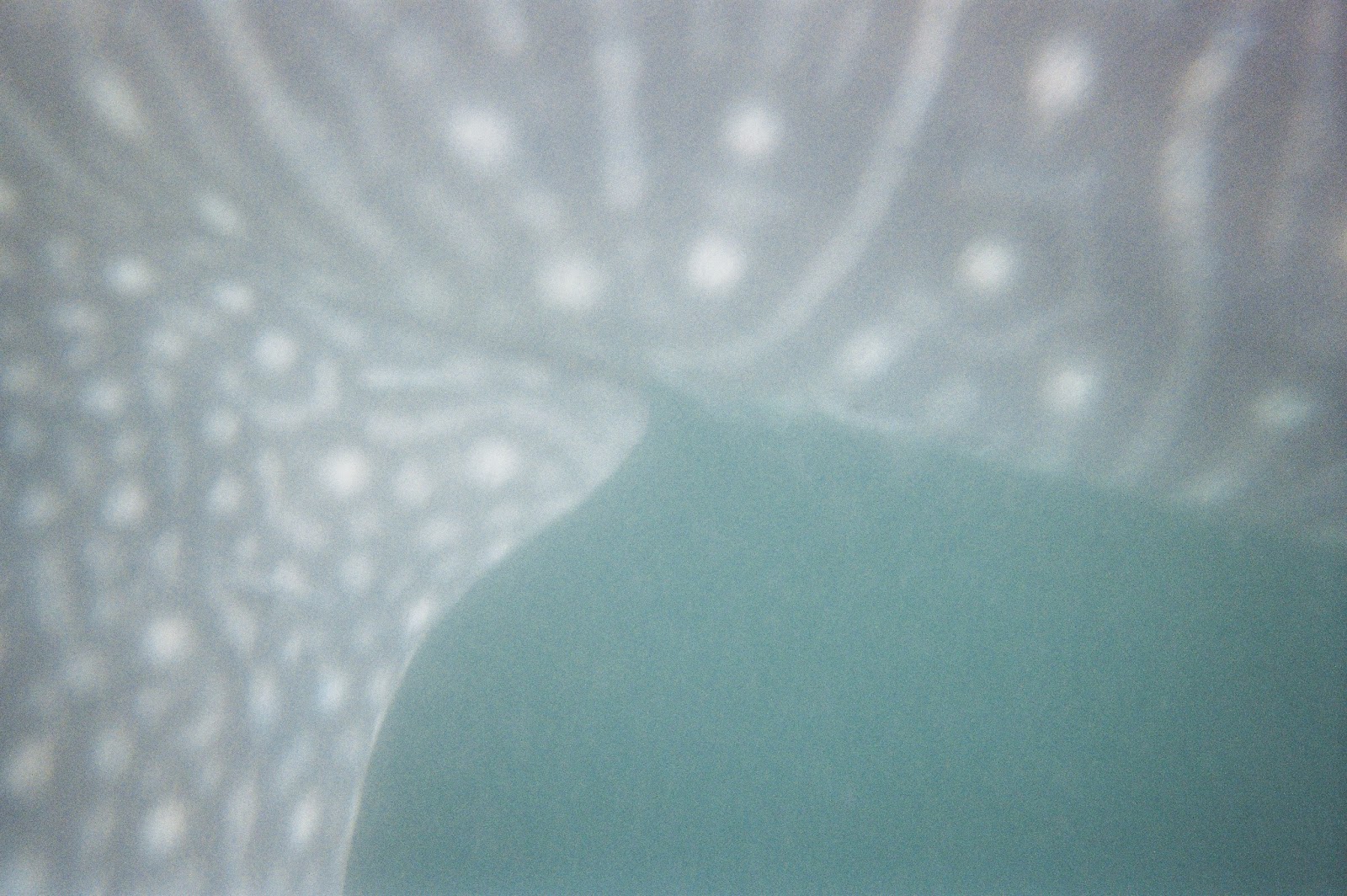 When Life Hands You Pho Part 2 Underwater cameras Revisiting the