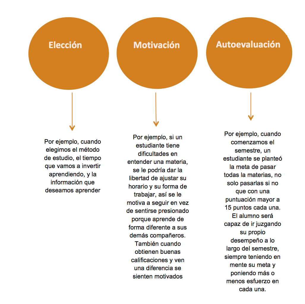 Psicologia del Aprendizaje Elementos de la Autorregulación