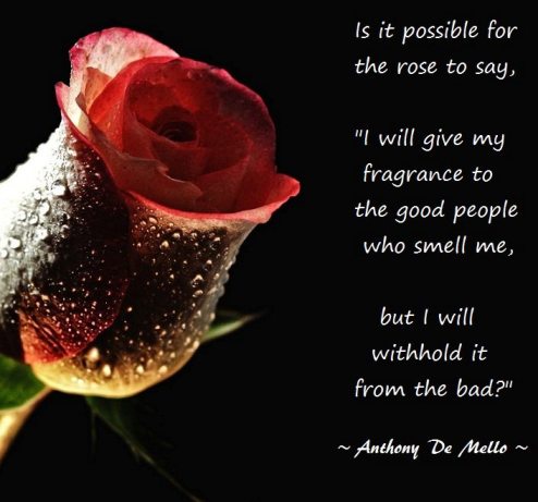Happy Rose Day 2017 Images Happy Rose Day 2017 Images