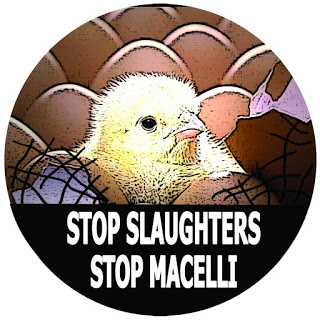 STOP MACELLI STOP SLAUGHTERS. Campagna Attacca l'Adesivo2