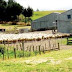 Δήμος Ιωαννίνων:Άδεια διατήρησης κτηνοτροφικών εγκαταστάσεων εντός ή πλησίον κατοικημένων περιοχών