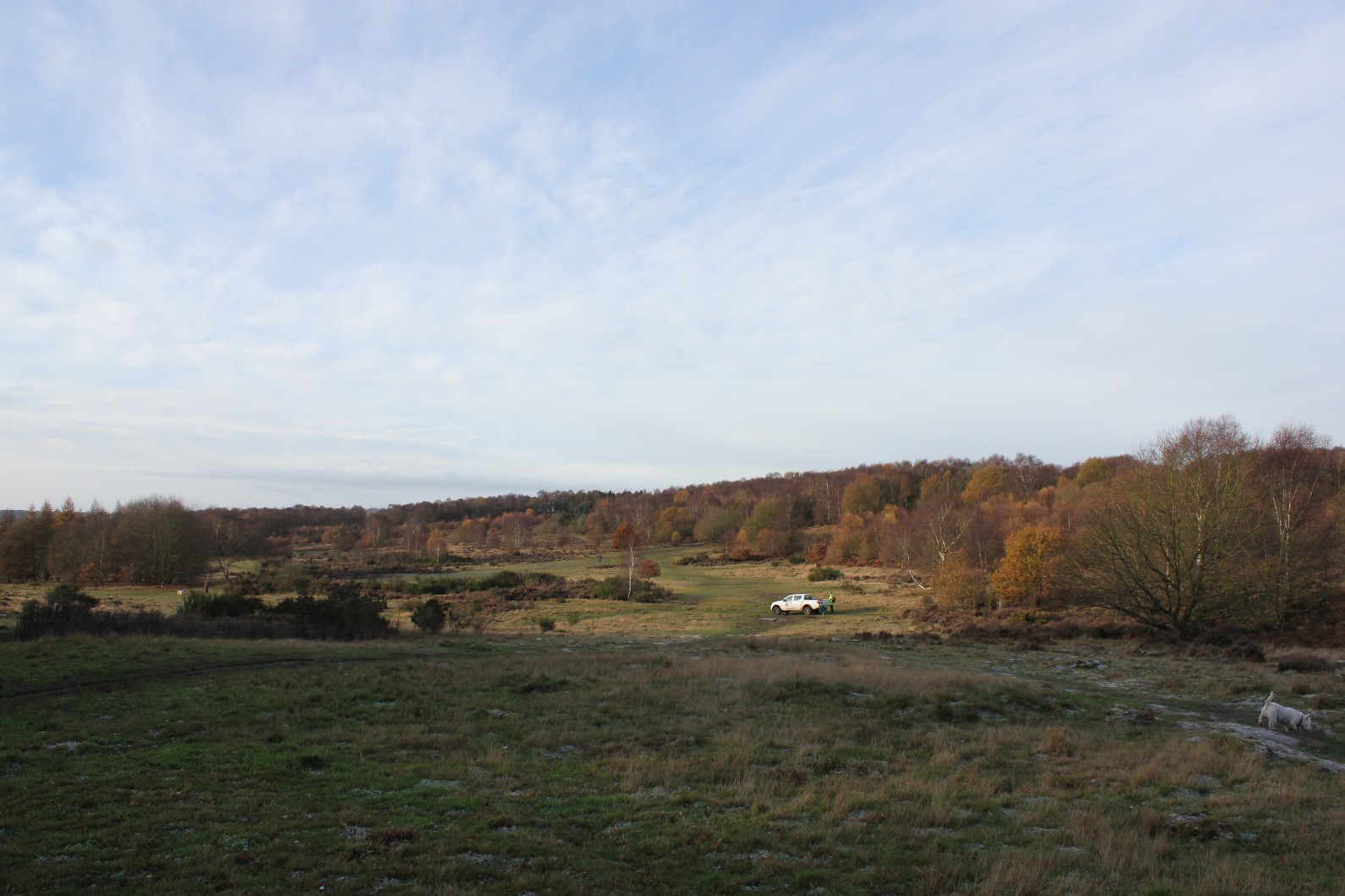 Wolvobirder\u0026#39;s Nature Blog: December 2011